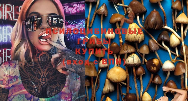 Альфа ПВП Абинск